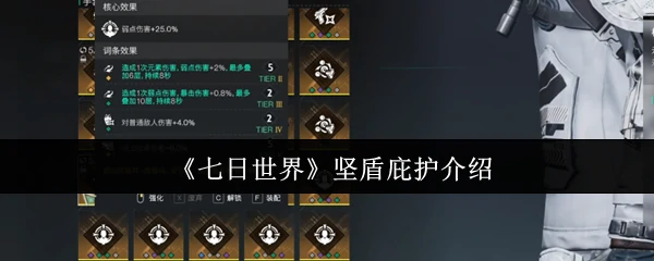坚盾庇护介绍