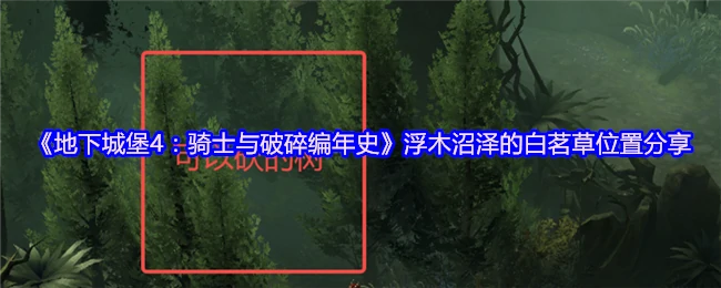浮木沼泽的白茗草位置分享
