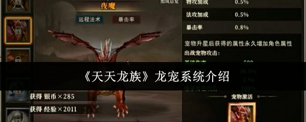 龙宠系统介绍