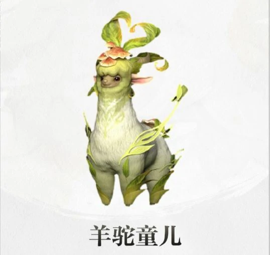羊驼童儿详情介绍