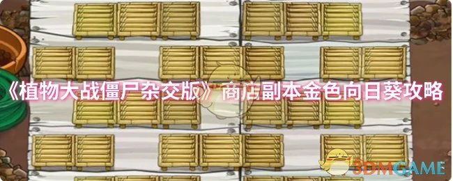 商店副本金色向日葵攻略