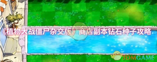 商店副本钻石种子攻略