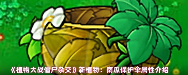 新植物：南瓜保护伞属性介绍
