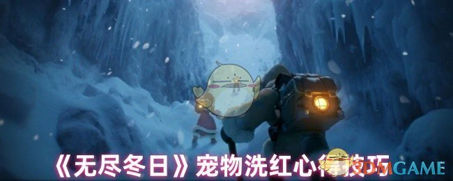 宠物洗红心得技巧