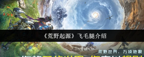 飞毛腿介绍