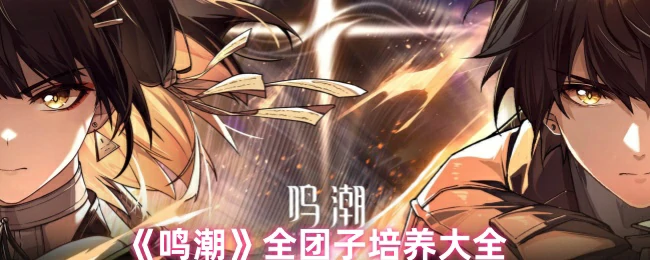 全团子培养大全