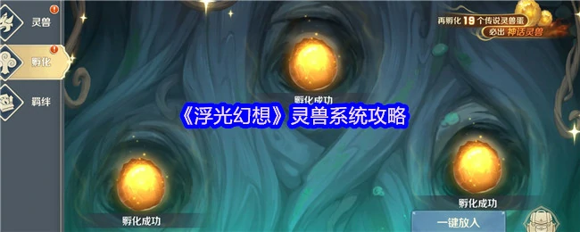 灵兽系统玩法攻略