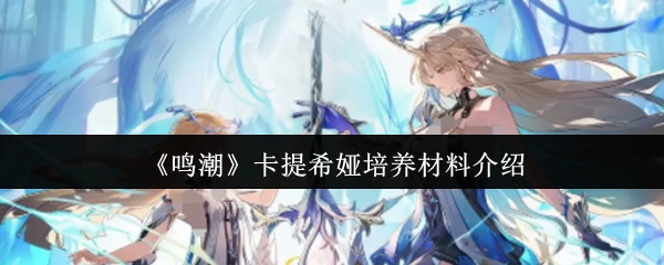 卡提希娅培养材料介绍