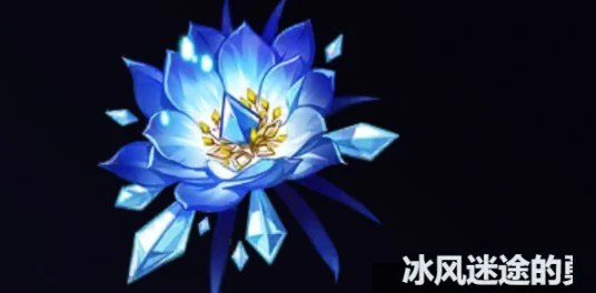 丝柯克圣遗物词条搭配推荐