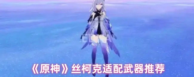 丝柯克适配武器推荐