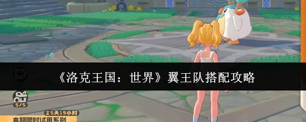翼王队搭配攻略