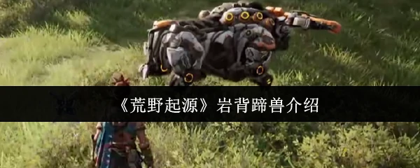 岩背蹄兽介绍