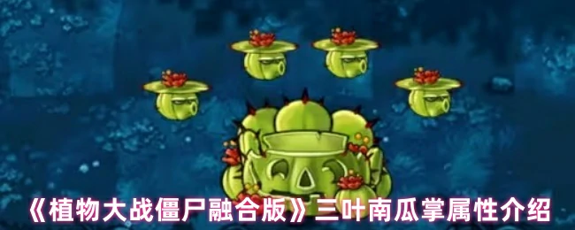 三叶南瓜掌属性介绍