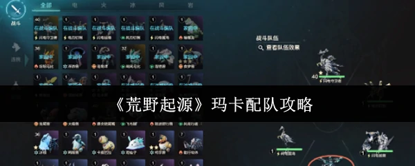 玛卡配队攻略
