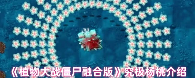 究极杨桃介绍