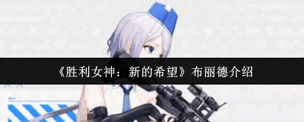 布丽德介绍