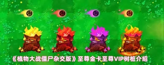 至尊金卡至尊VIP树桩介绍