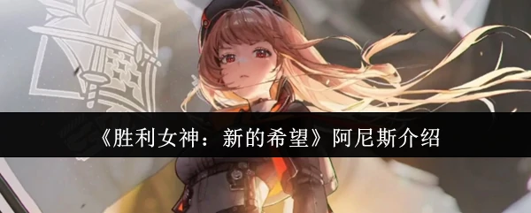 阿尼斯介绍