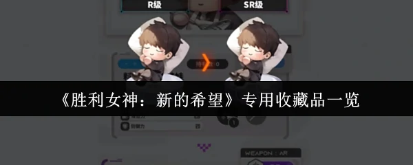 专用收藏品一览