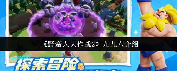 九九六介绍
