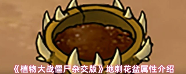 地刺花盆属性介绍