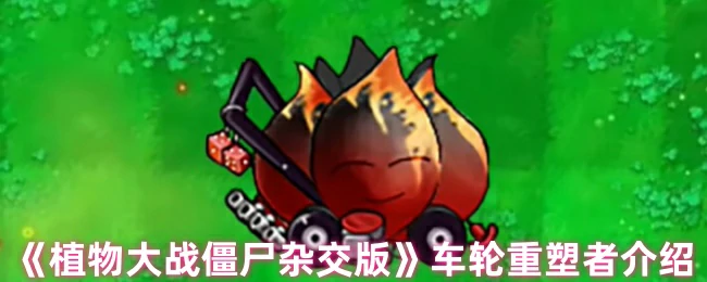 车轮重塑者介绍