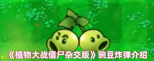 豌豆炸弹介绍