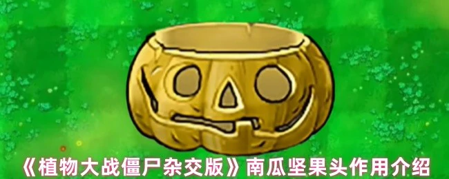 南瓜坚果头作用介绍