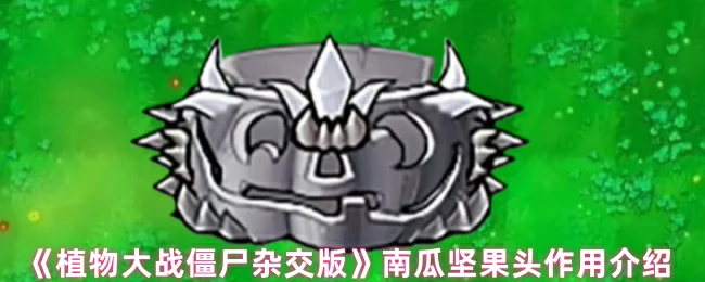 钢果南瓜头作用介绍