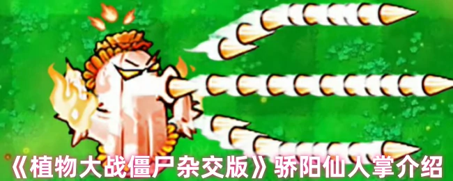 骄阳仙人掌介绍