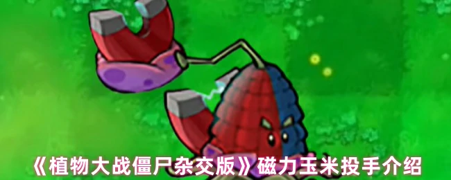 磁力玉米投手介绍