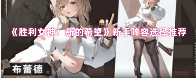 新手阵容选择推荐