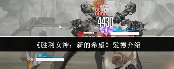 爱德介绍