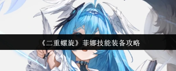 菲娜技能装备攻略