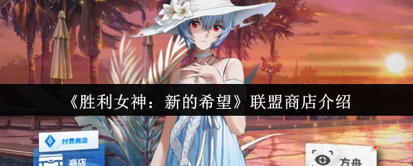 联盟商店介绍