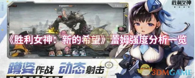 蕾姆强度分析一览