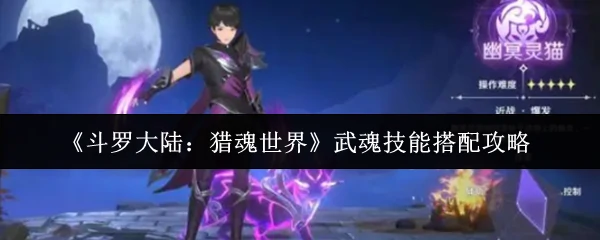武魂技能搭配攻略