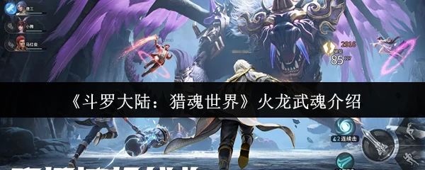 火龙武魂介绍