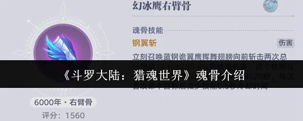 魂骨介绍