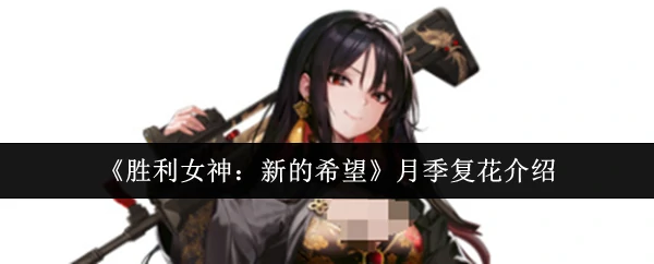 月季复花介绍