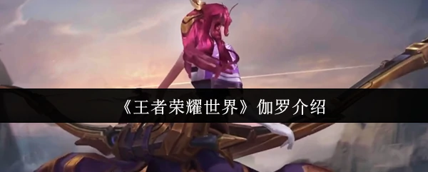 伽罗介绍