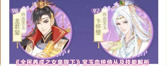 宝玉血统侍从及技能解析