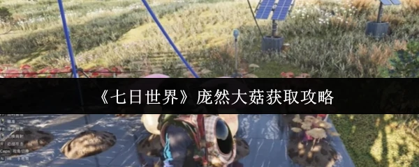 庞然大菇获取攻略