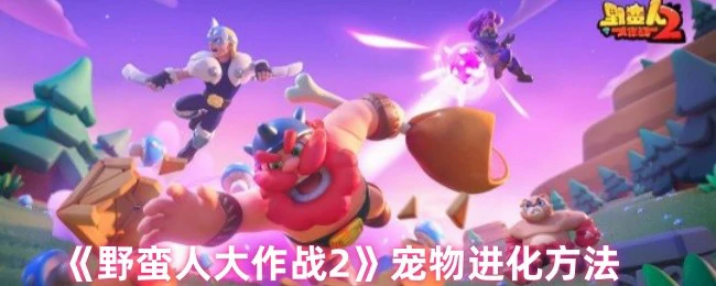 宠物进化方法