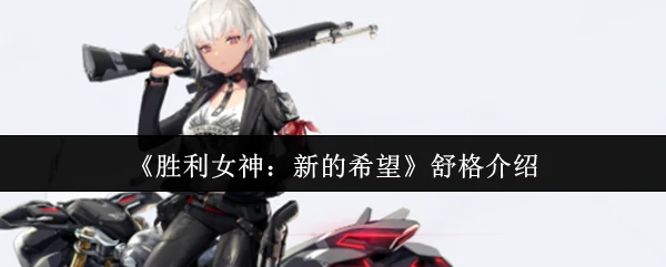 舒格介绍