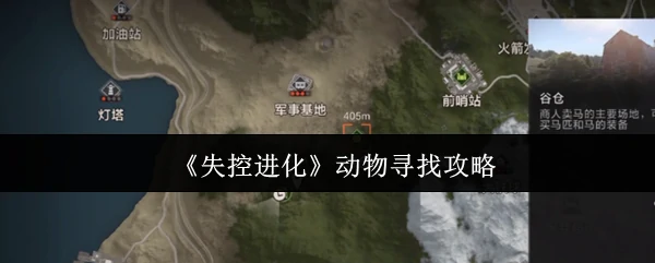 动物寻找攻略
