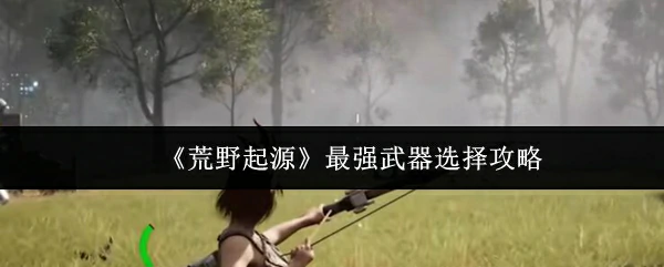 最强武器选择攻略