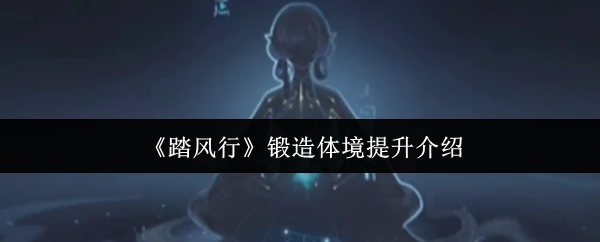 锻造体境提升介绍
