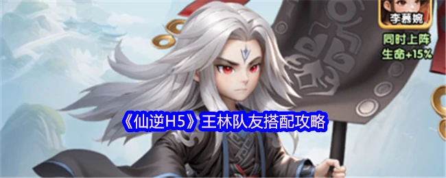王林队友搭配攻略