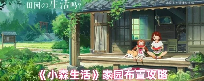 家园布置攻略